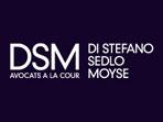DSM Di Stefano, Sedlo & Moyse